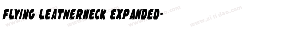 Flying Leatherneck Expanded字体转换